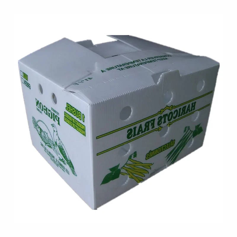 PP Hollow Sheet Cold Chain Logistics Packaging Box